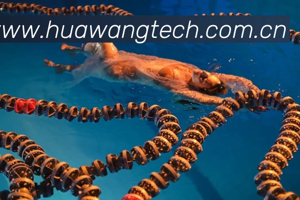 多媒体互动体验